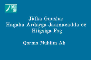 Jidka Guusha: Hagaha Ardayga Jaamacadda ee Hiigsiga Fog