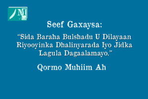 Seef Gaxaysa: Sida Baraha Bulshadu U Dilayaan Riyooyinka Dhalinyarada Iyo Jidka Lagula Dagaalamayo.